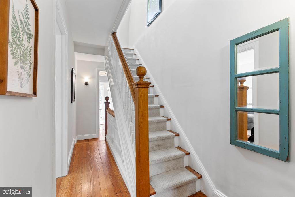 CHESTNUT HILL - Residential