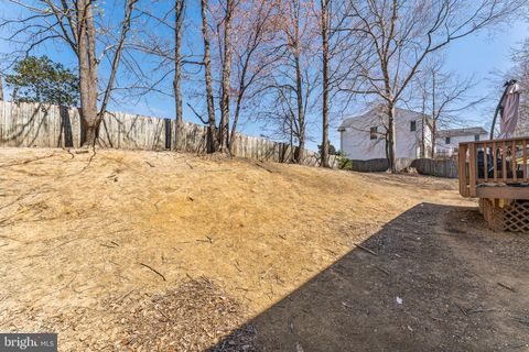 listing image 56
