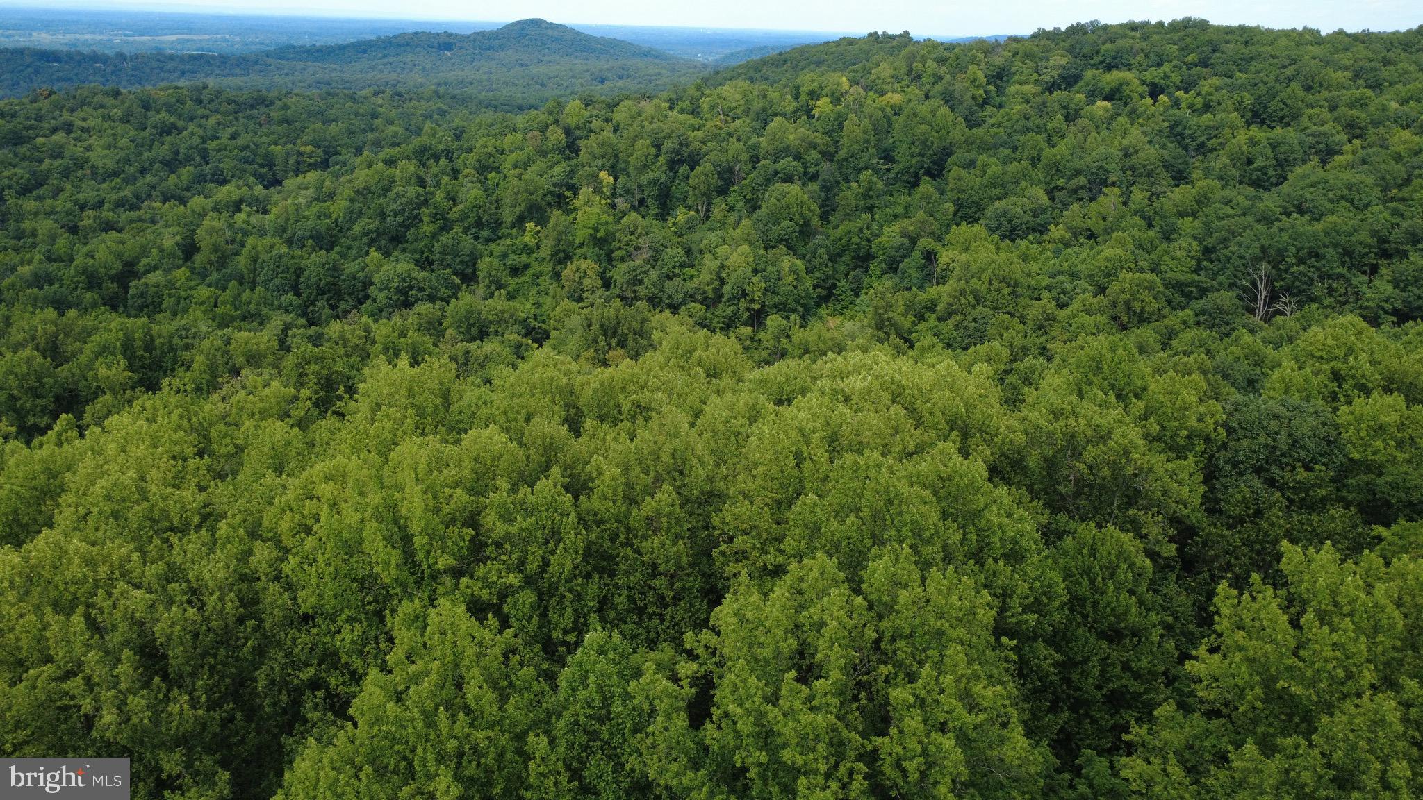 lot 62 RILEY COURT