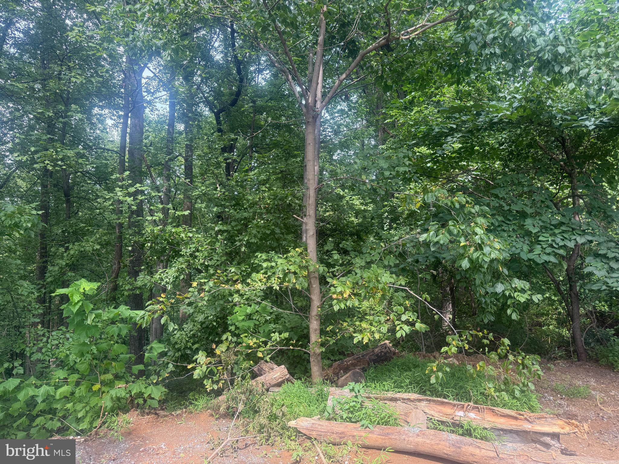 lot 62 RILEY COURT