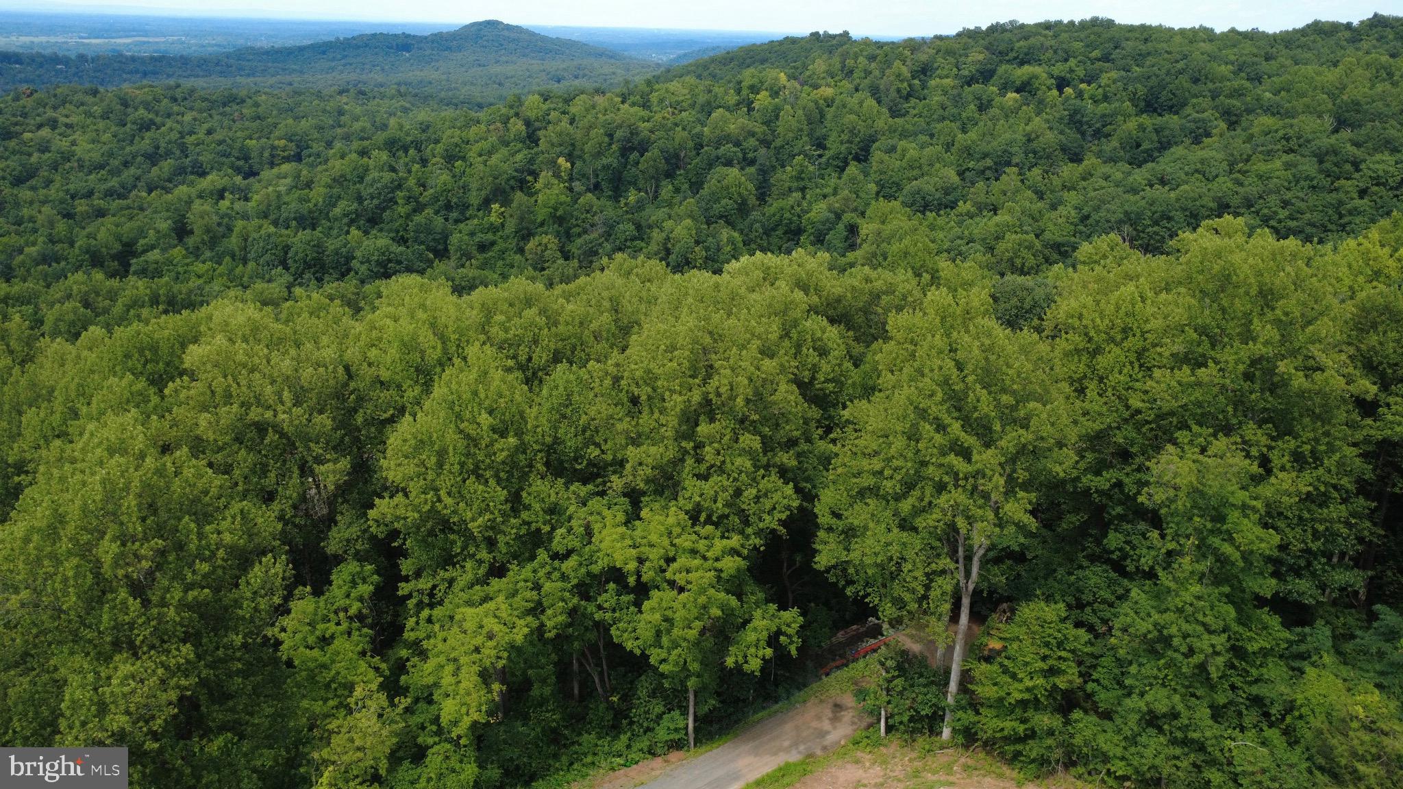 lot 62 RILEY COURT