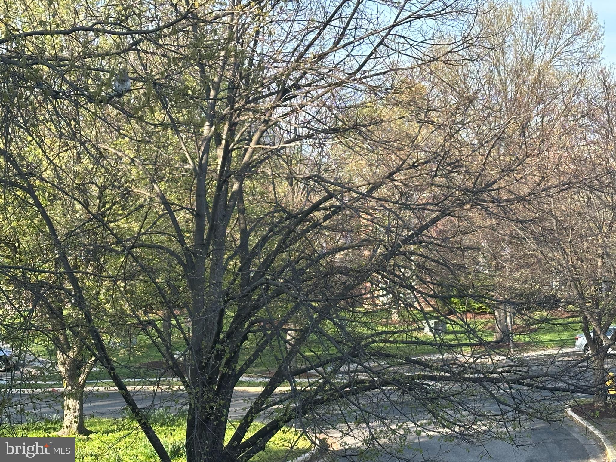 CROMWELL FOUNTAIN - Residential Lease