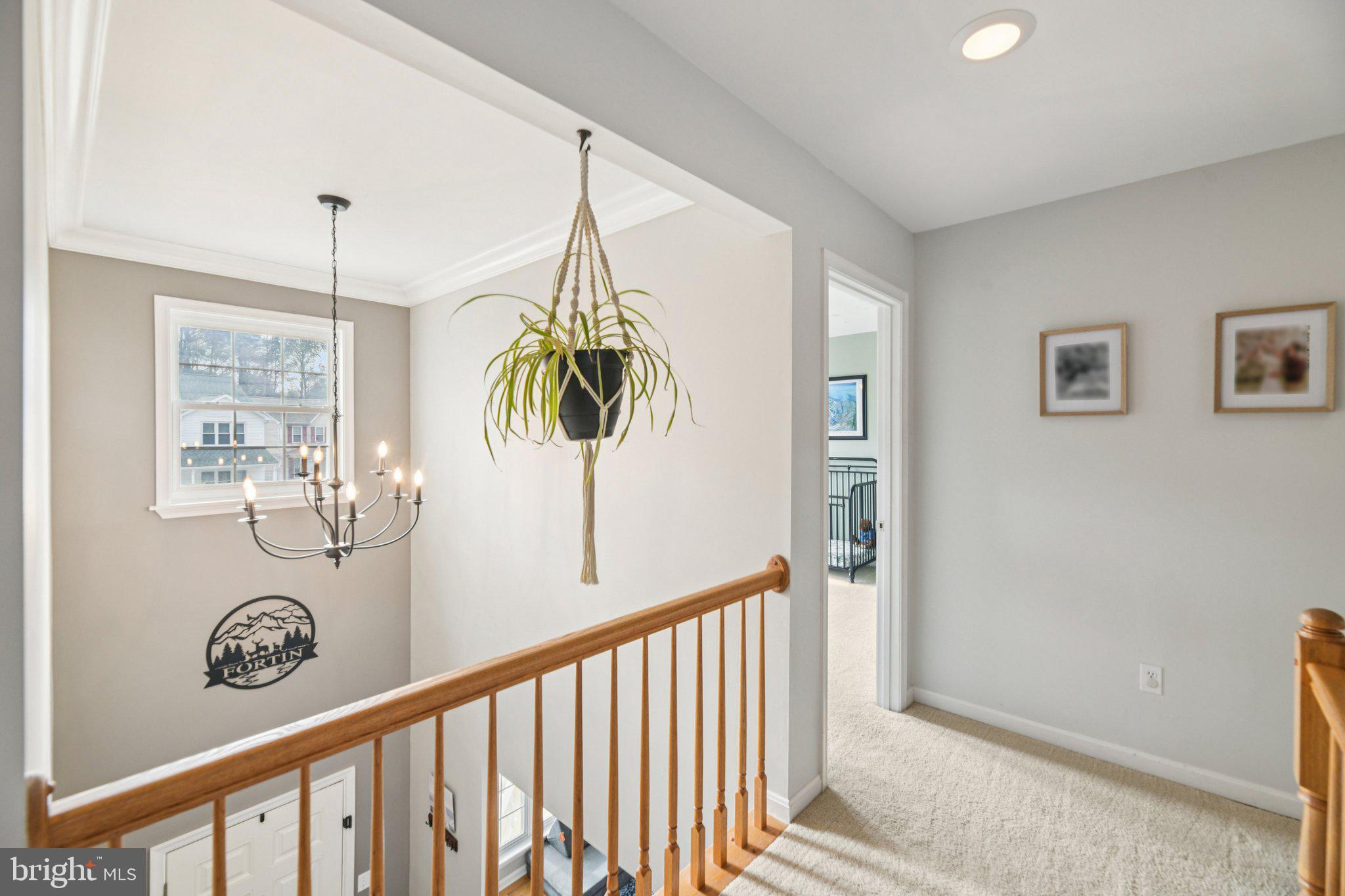 CEDAR COVE - Residential