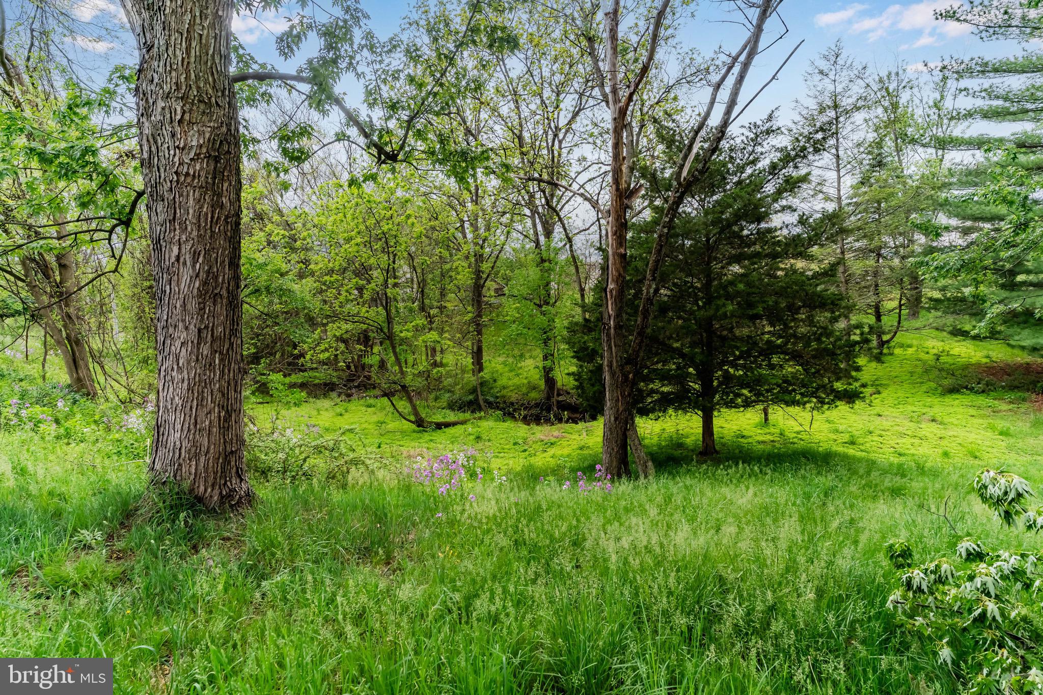 2228 KOHN ROAD