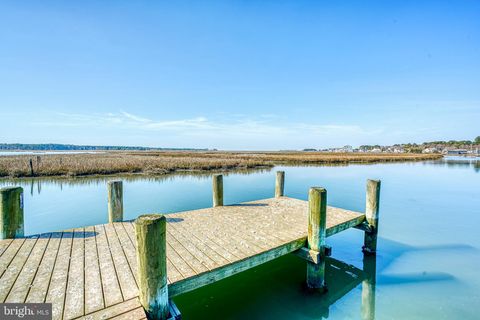 Vacant Land For Sale - LOT 48 Piney Island Road<br/> CHINCOTEAGUE ISLAND, VA 23336