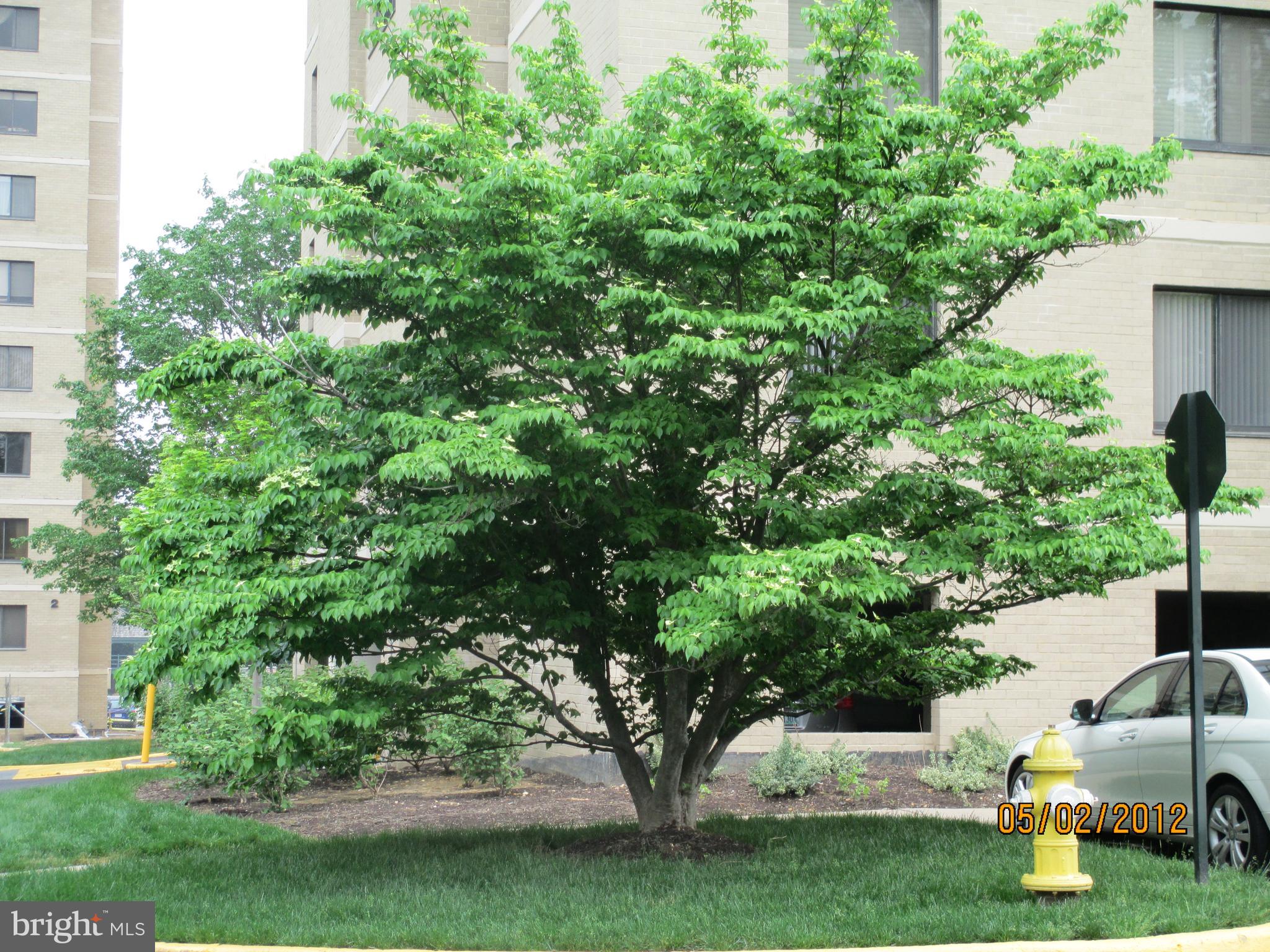 WATERGATE AT LANDMARK - Residential Lease