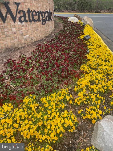 WATERGATE AT LANDMARK - Residential Lease