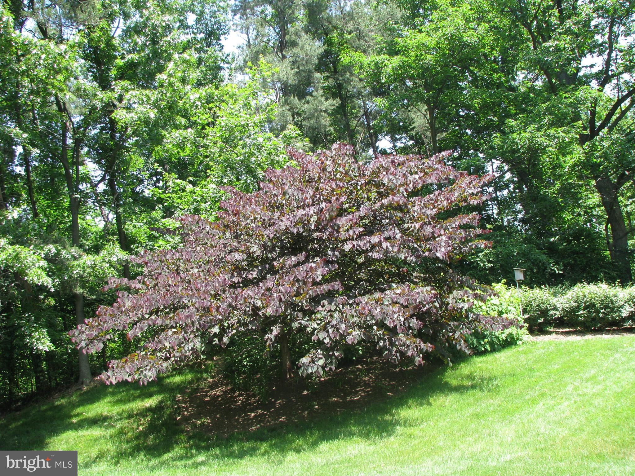 WATERGATE AT LANDMARK - Residential Lease