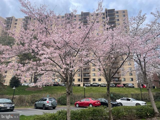 WATERGATE AT LANDMARK - Residential Lease