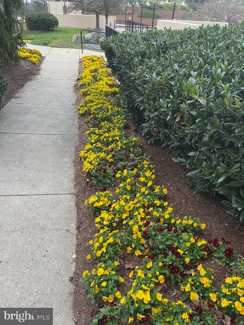 WATERGATE AT LANDMARK - Residential Lease