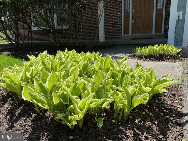 WESTHAMPTON - Residential Lease