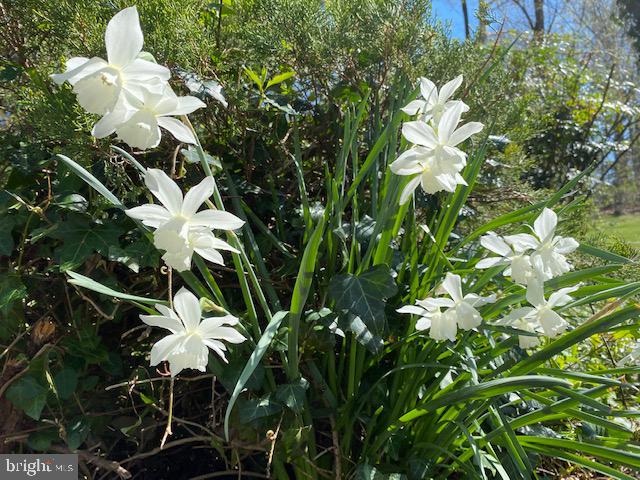 WESTHAMPTON - Residential Lease