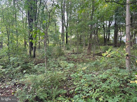 Vacant Land For Sale - Centre Turnpike<br/> Schuylkill County, ORWIGSBURG, PA 17961