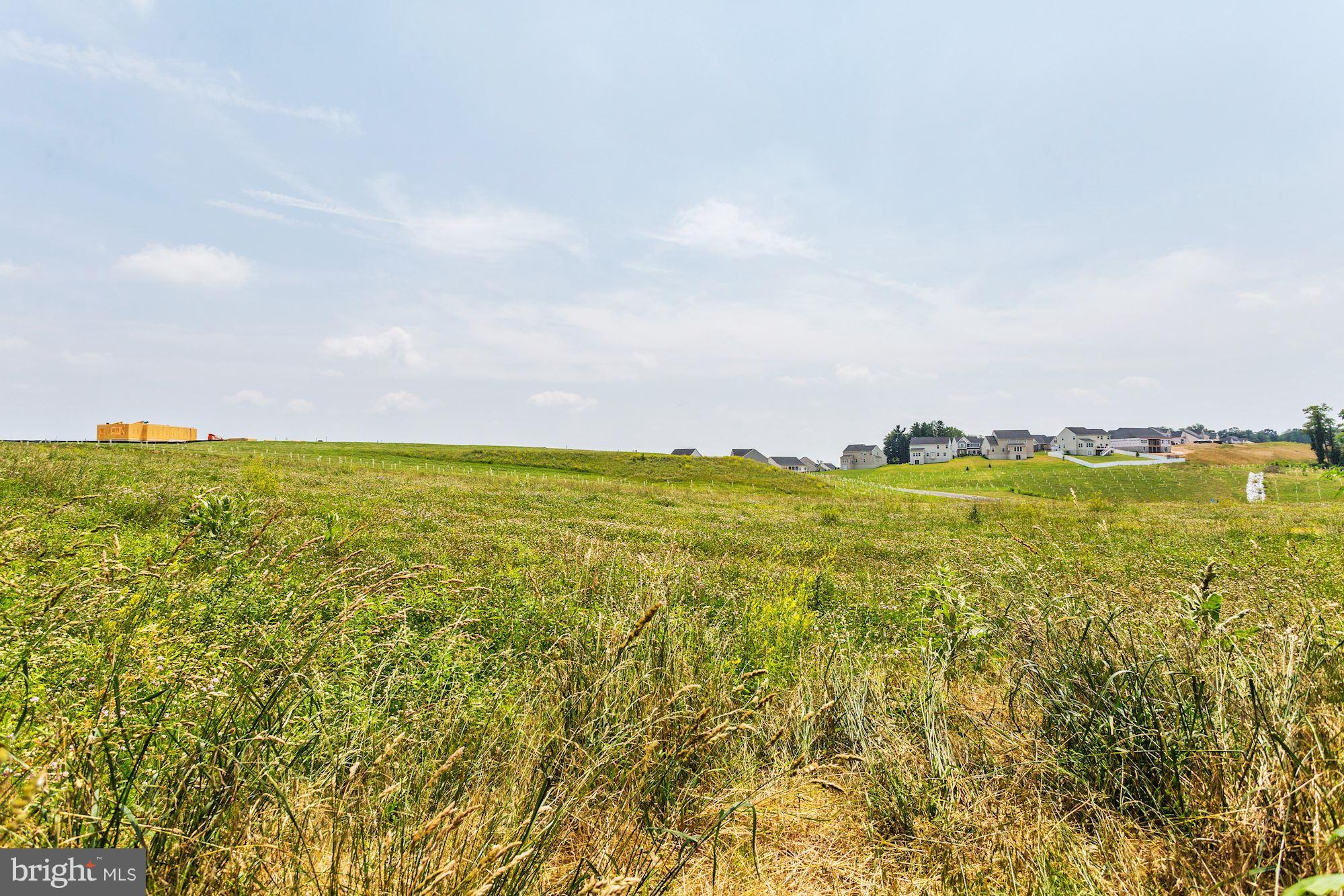 MEADOW BRANCH - Commercial Sale