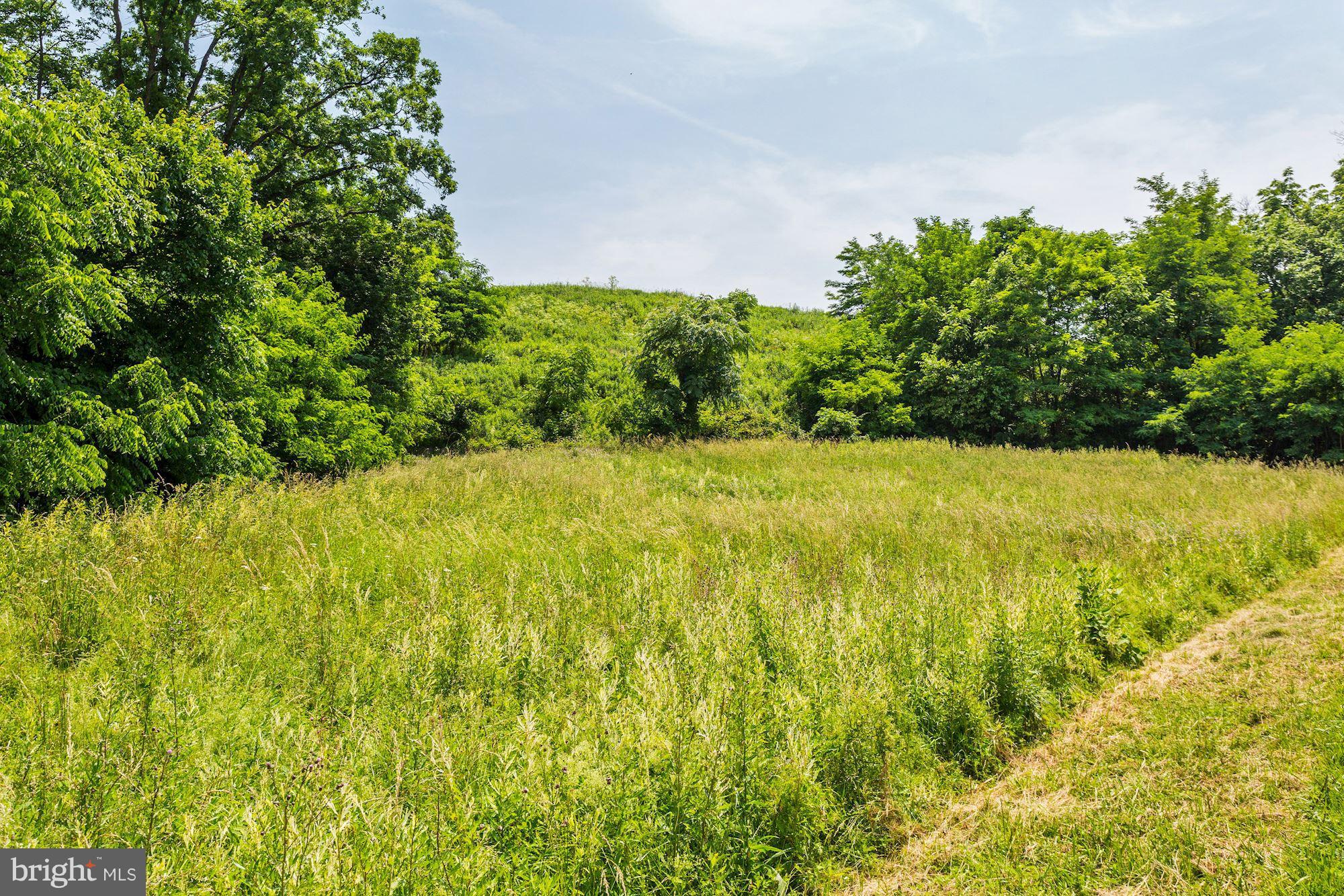 MEADOW BRANCH - Commercial Sale