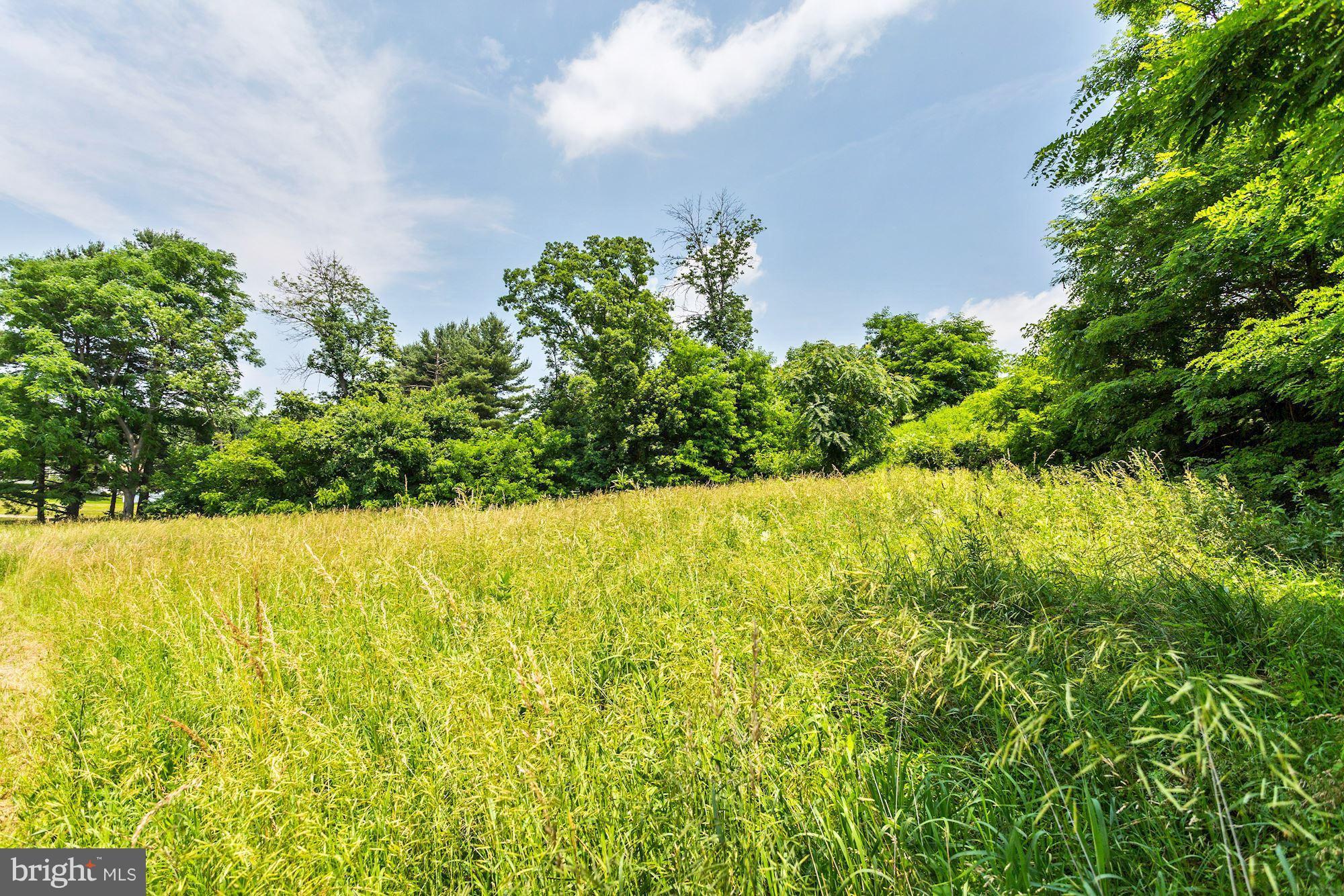 MEADOW BRANCH - Commercial Sale