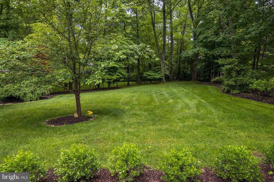 BRADLEY HILLS GROVE - Residential