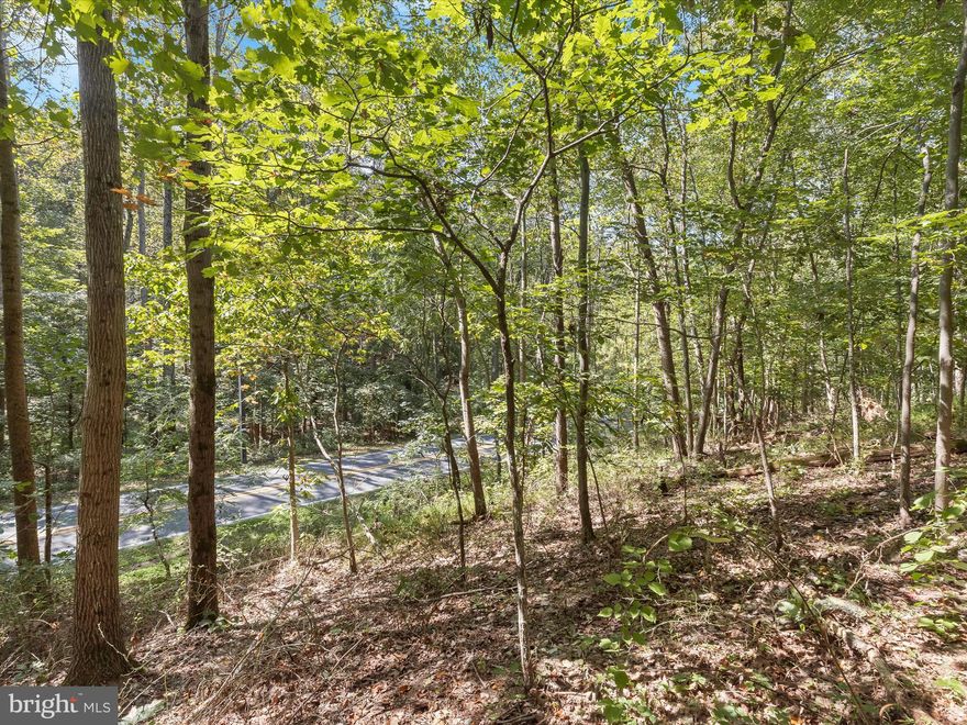 Nice and private wooded parcel  consisting of 6.14 acres. The property has not been perked. The Buyers will need to perk the property and drill the well at Buyers expense. Creating an additional lot might be possible- Buyer to verify at the County.