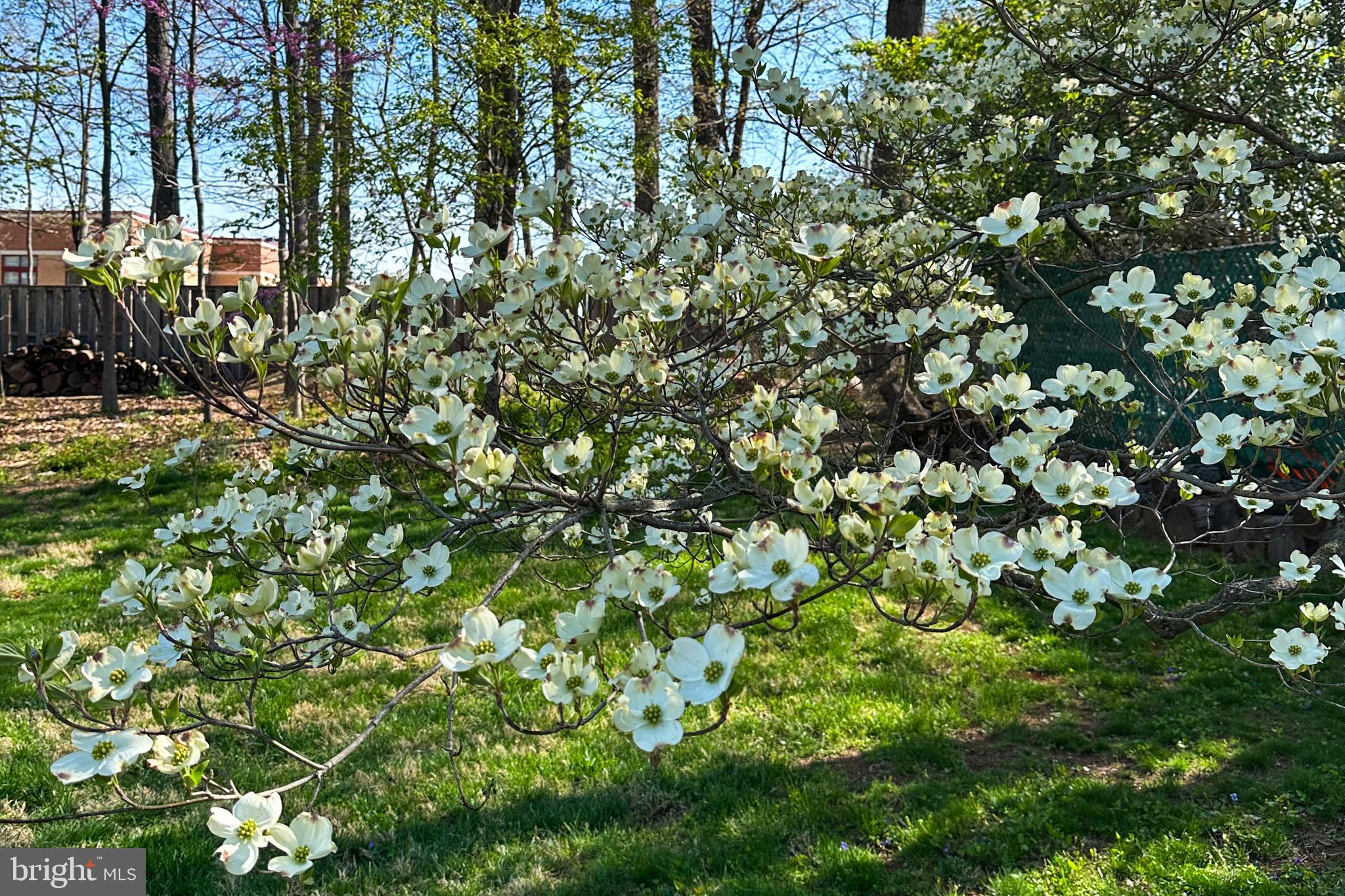 CANDLEWOOD PARK - Residential
