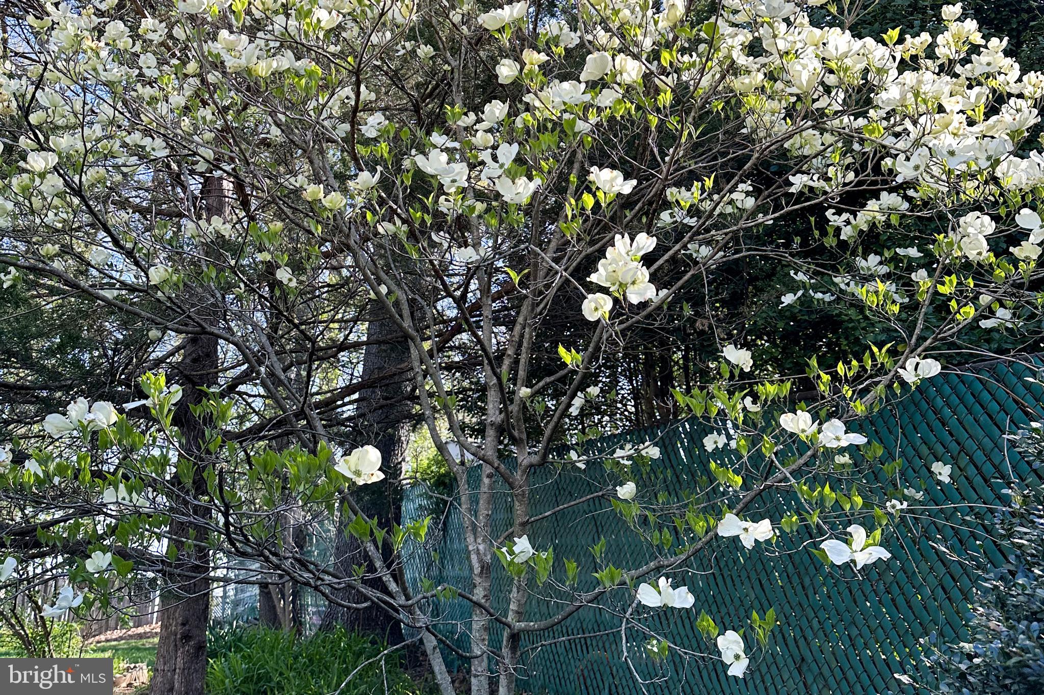 CANDLEWOOD PARK - Residential