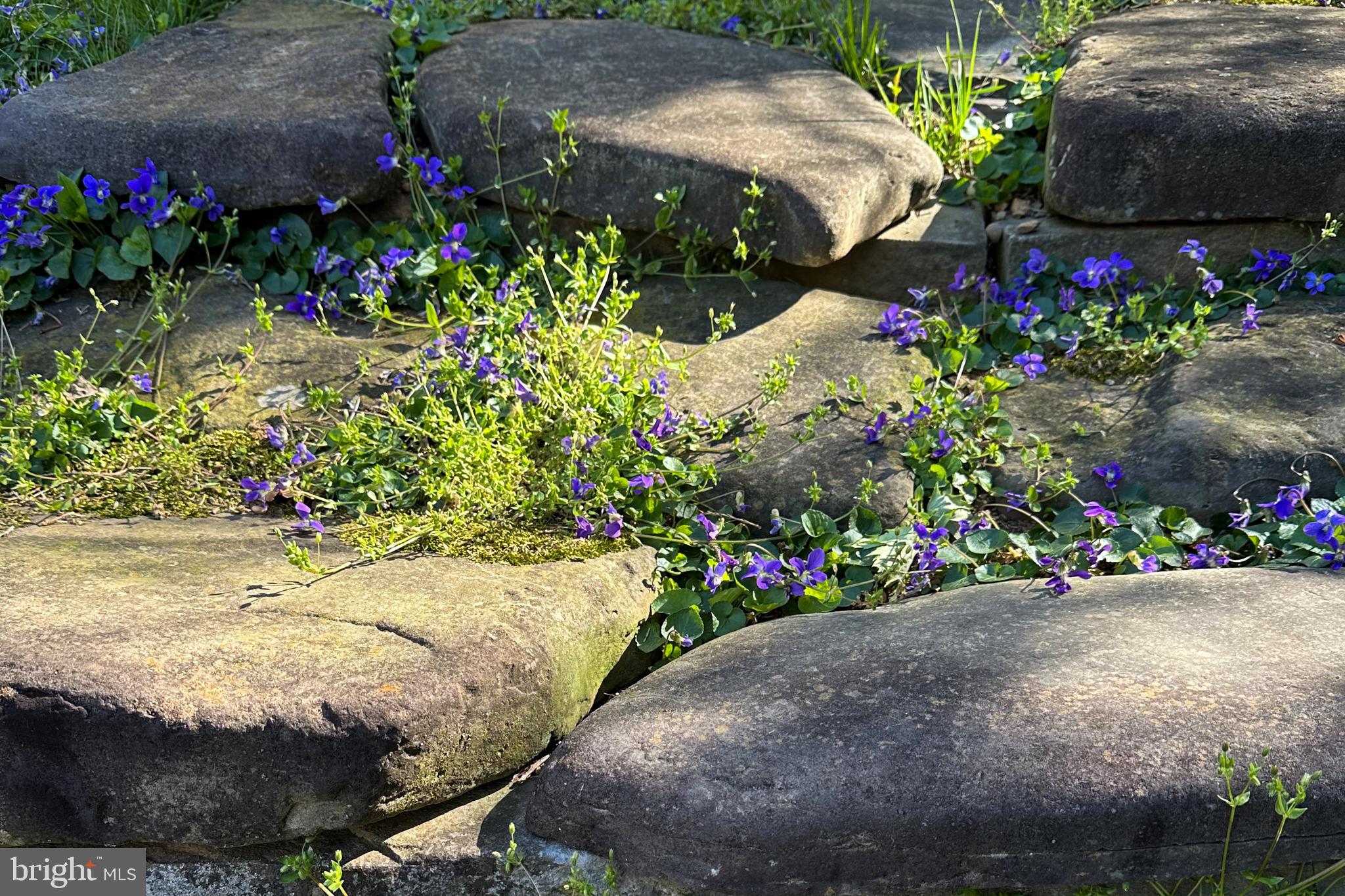 CANDLEWOOD PARK - Residential