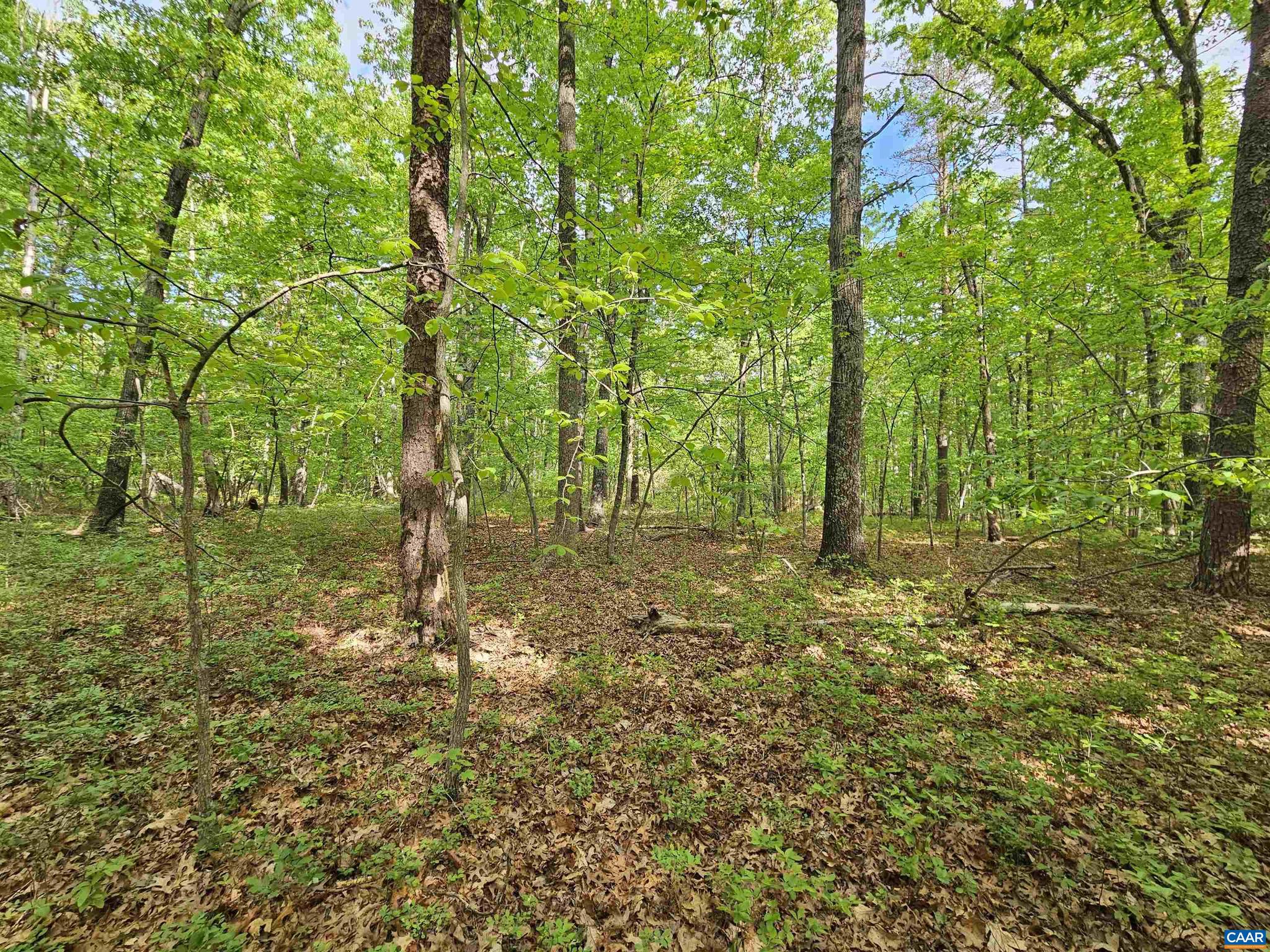 NONE AVAILABLE - Land