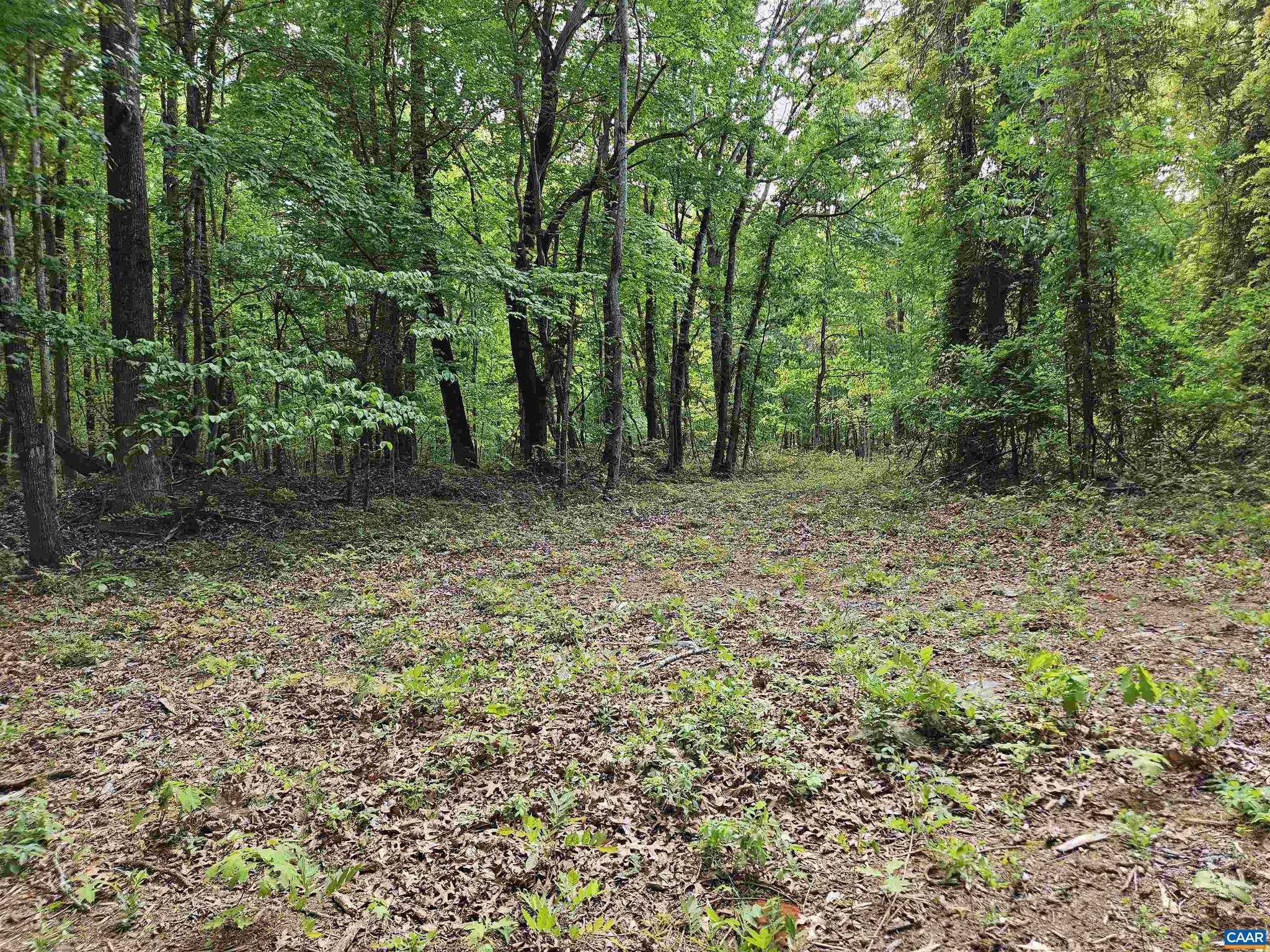 NONE AVAILABLE - Land