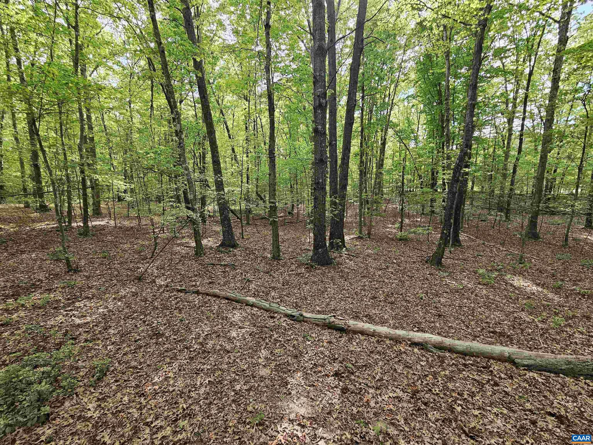 NONE AVAILABLE - Land