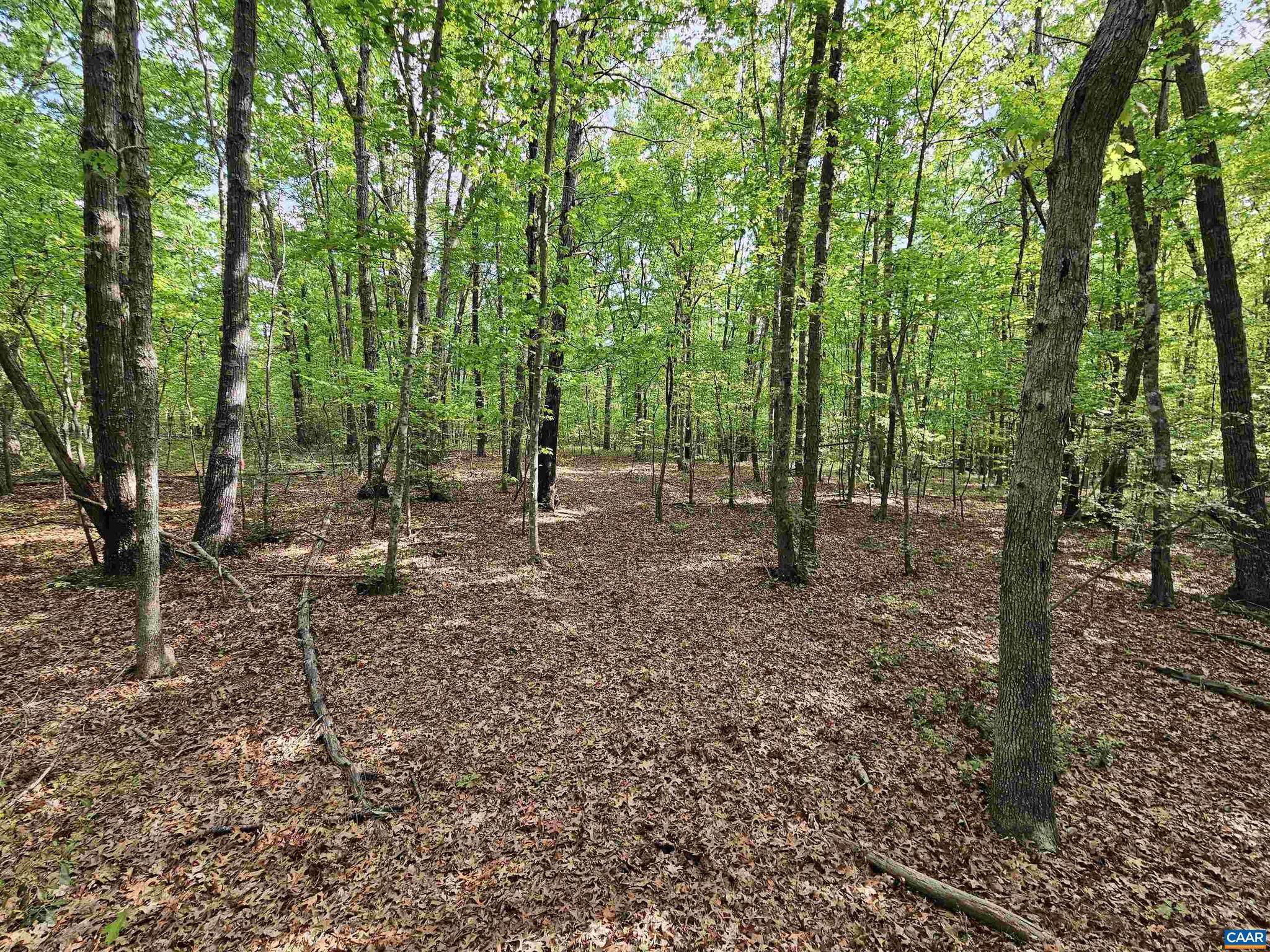 NONE AVAILABLE - Land