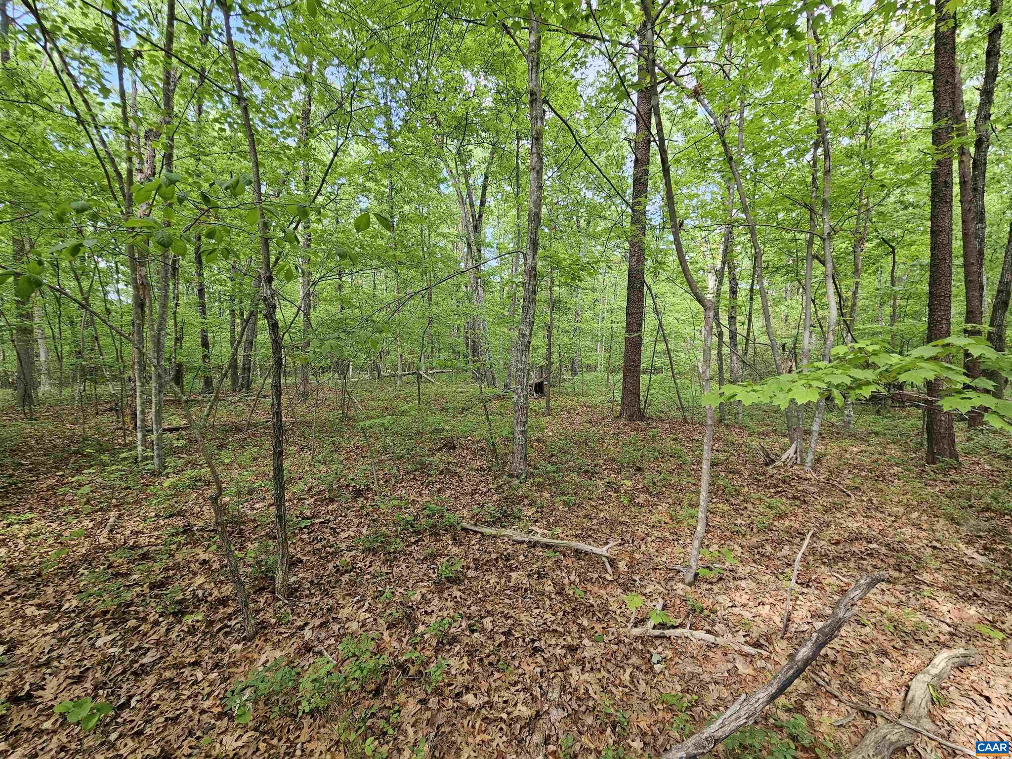 NONE AVAILABLE - Land