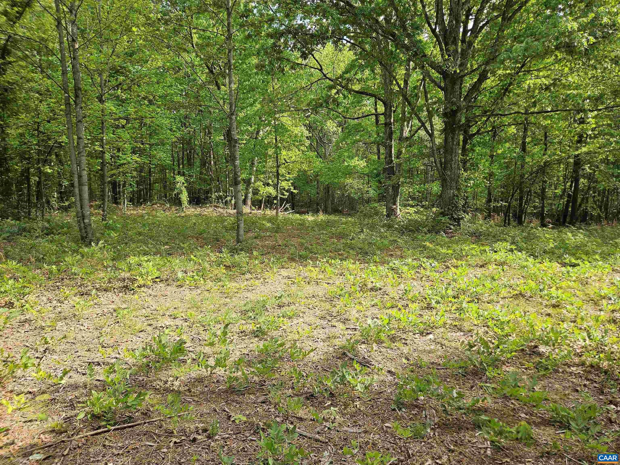 8.65 Ac POND RD