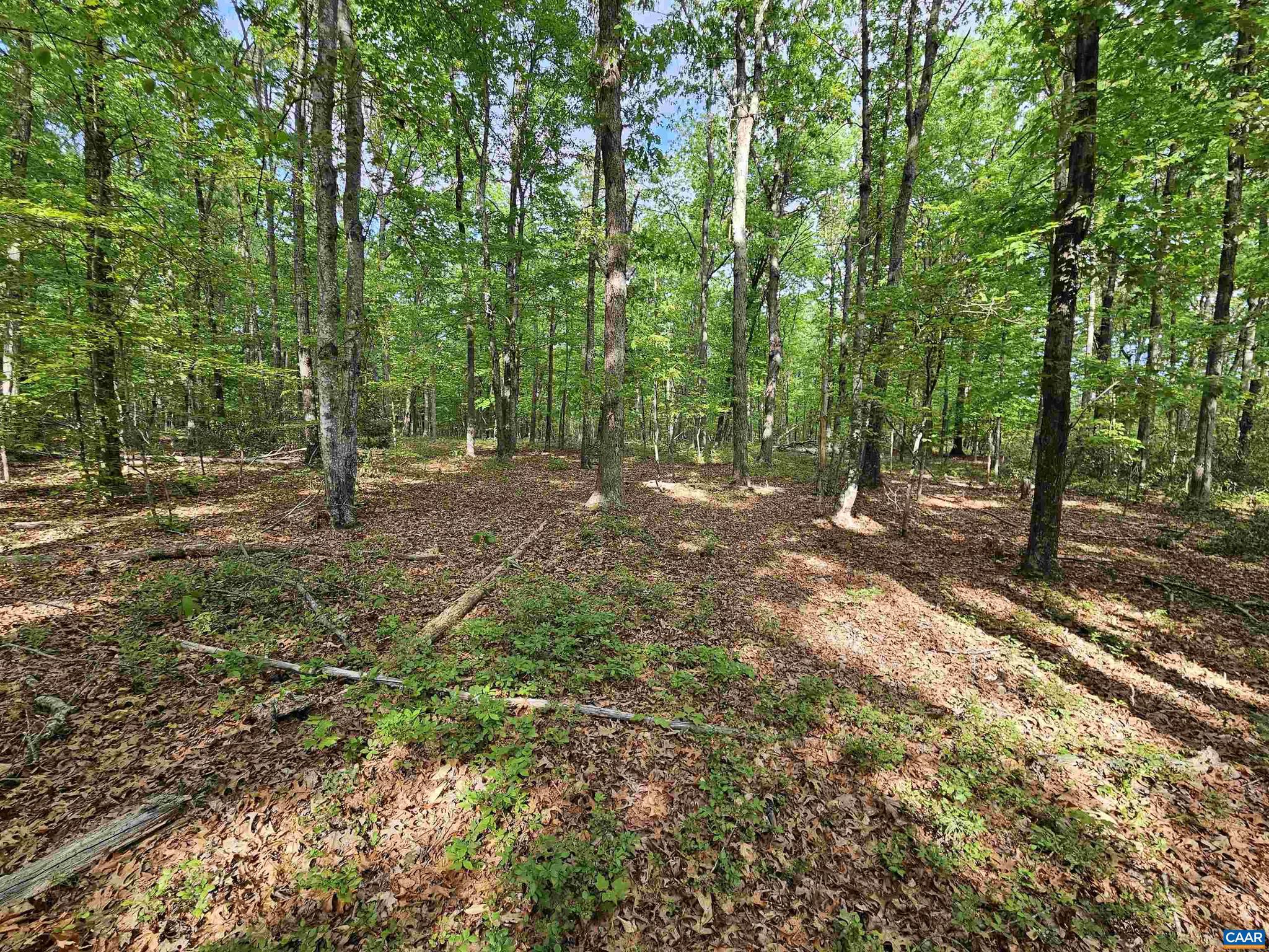 NONE AVAILABLE - Land