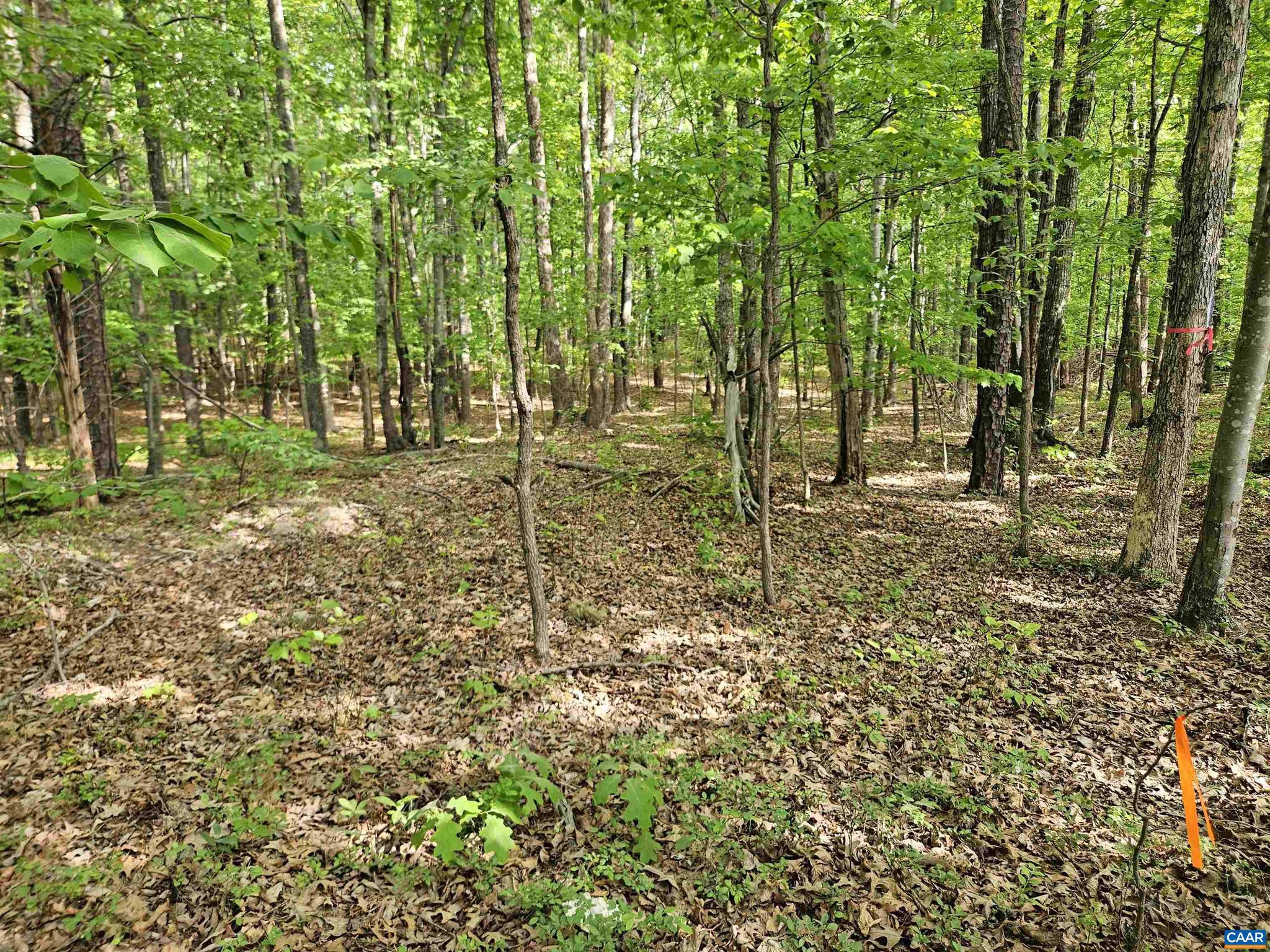 NONE AVAILABLE - Land