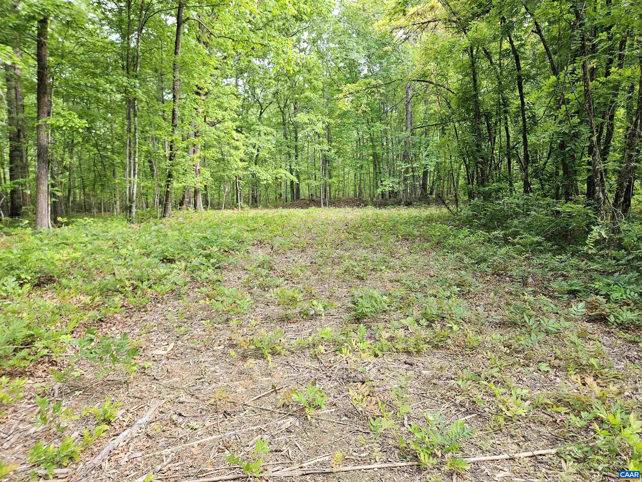 NONE AVAILABLE - Land