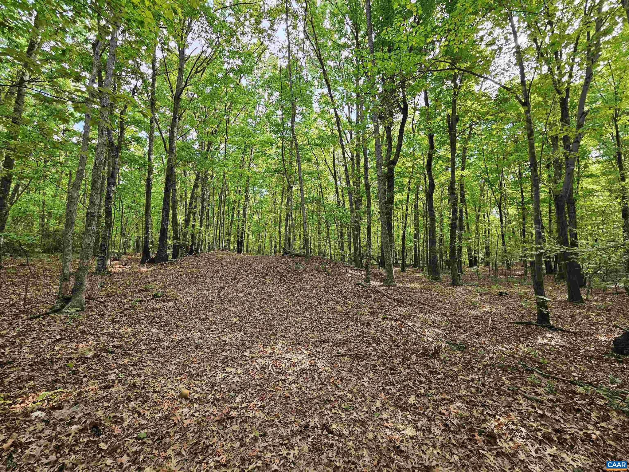 NONE AVAILABLE - Land