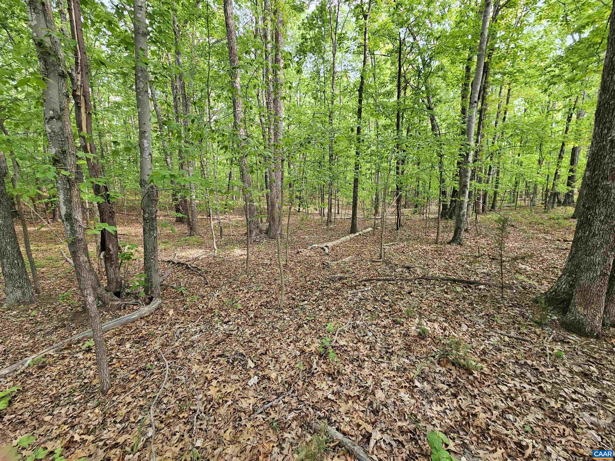 NONE AVAILABLE - Land