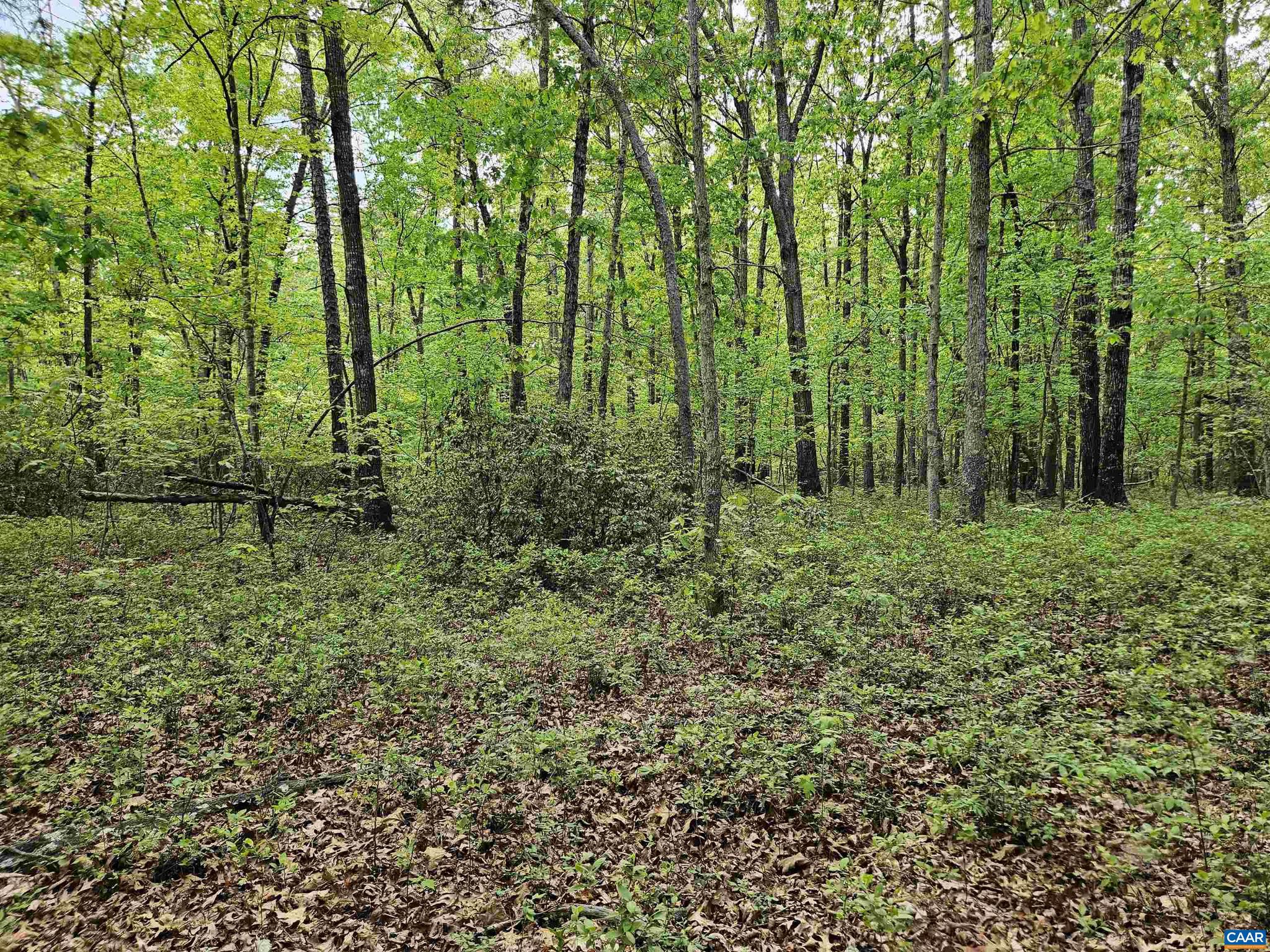 NONE AVAILABLE - Land