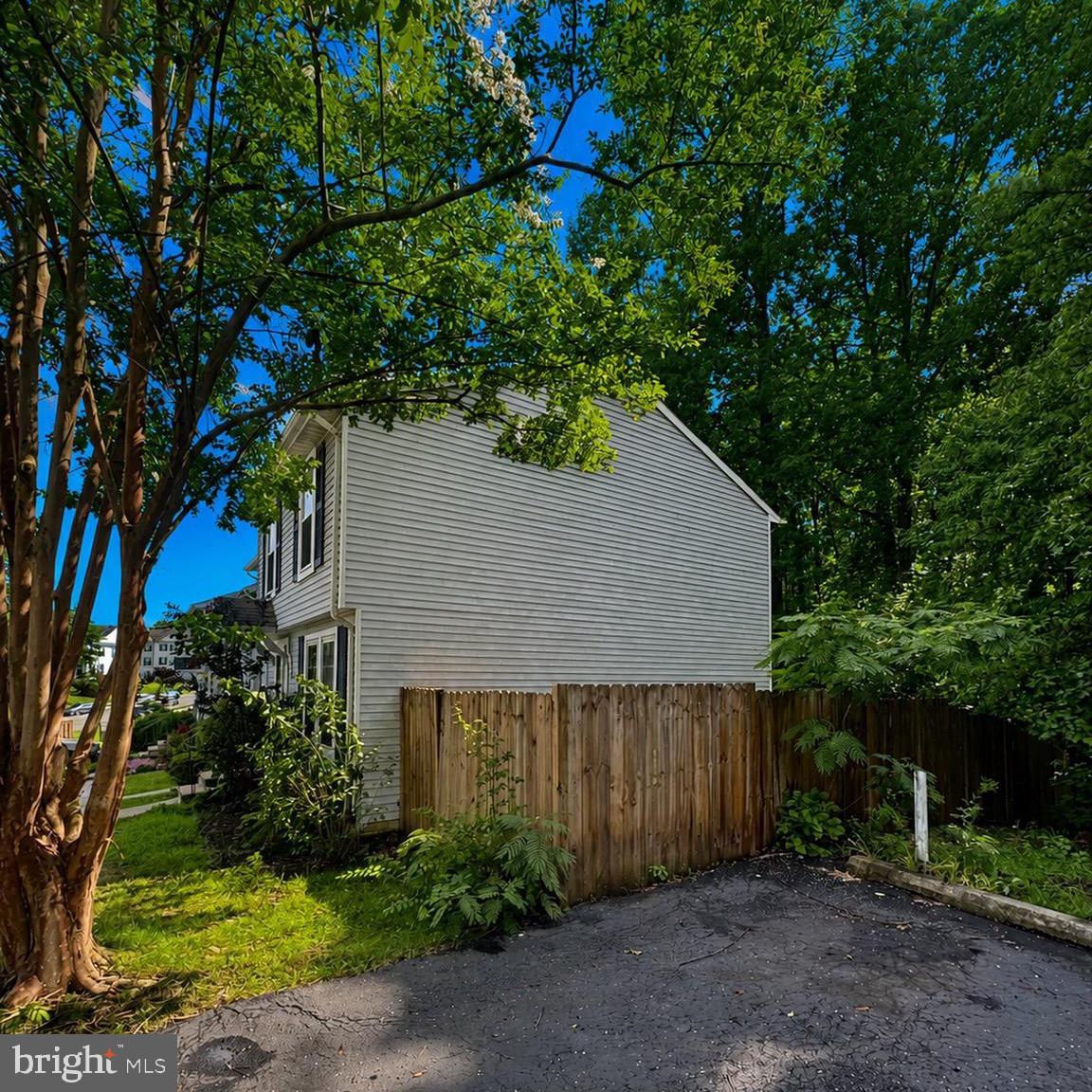 207 ESSEX STREET 4