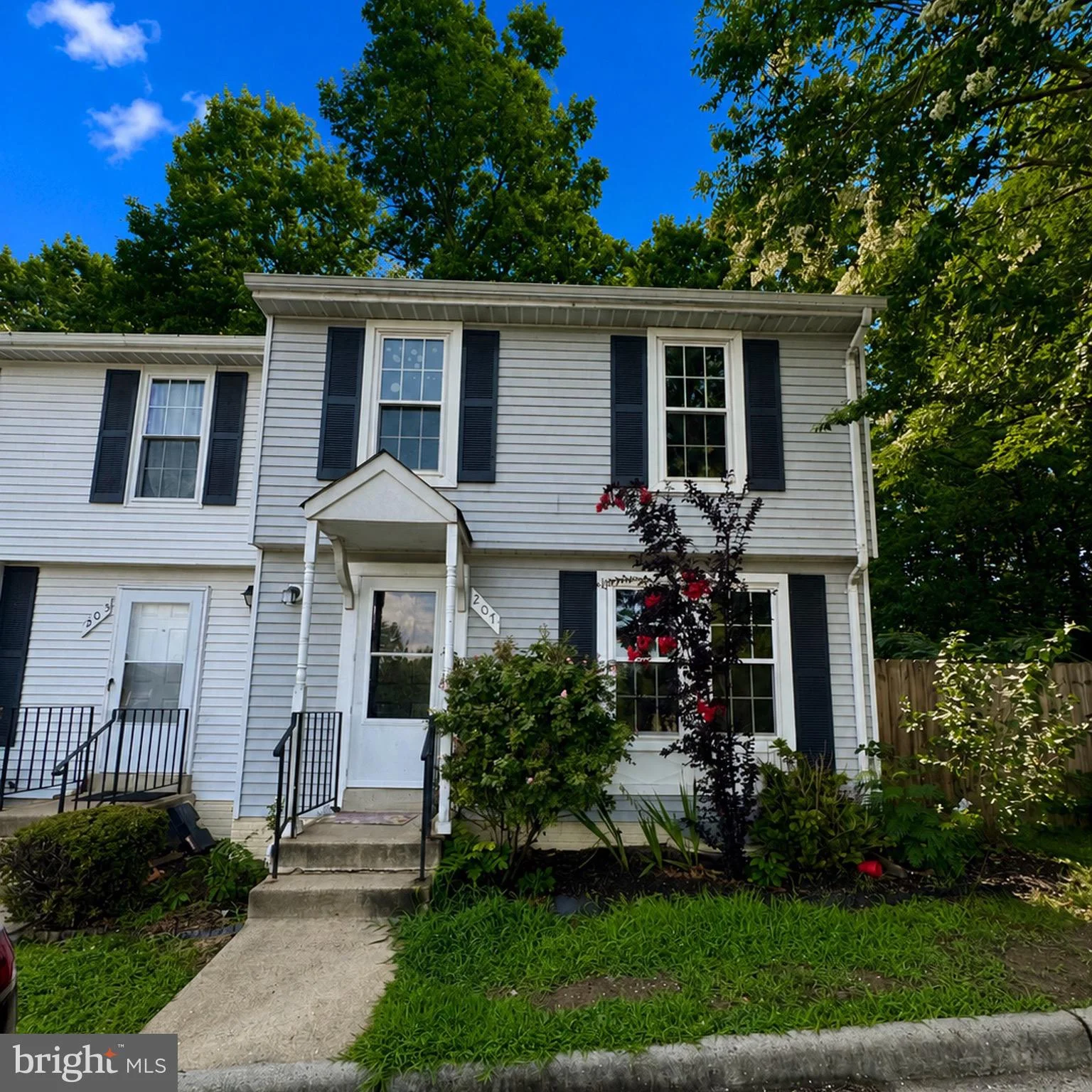 207 Essex Street Unit 4