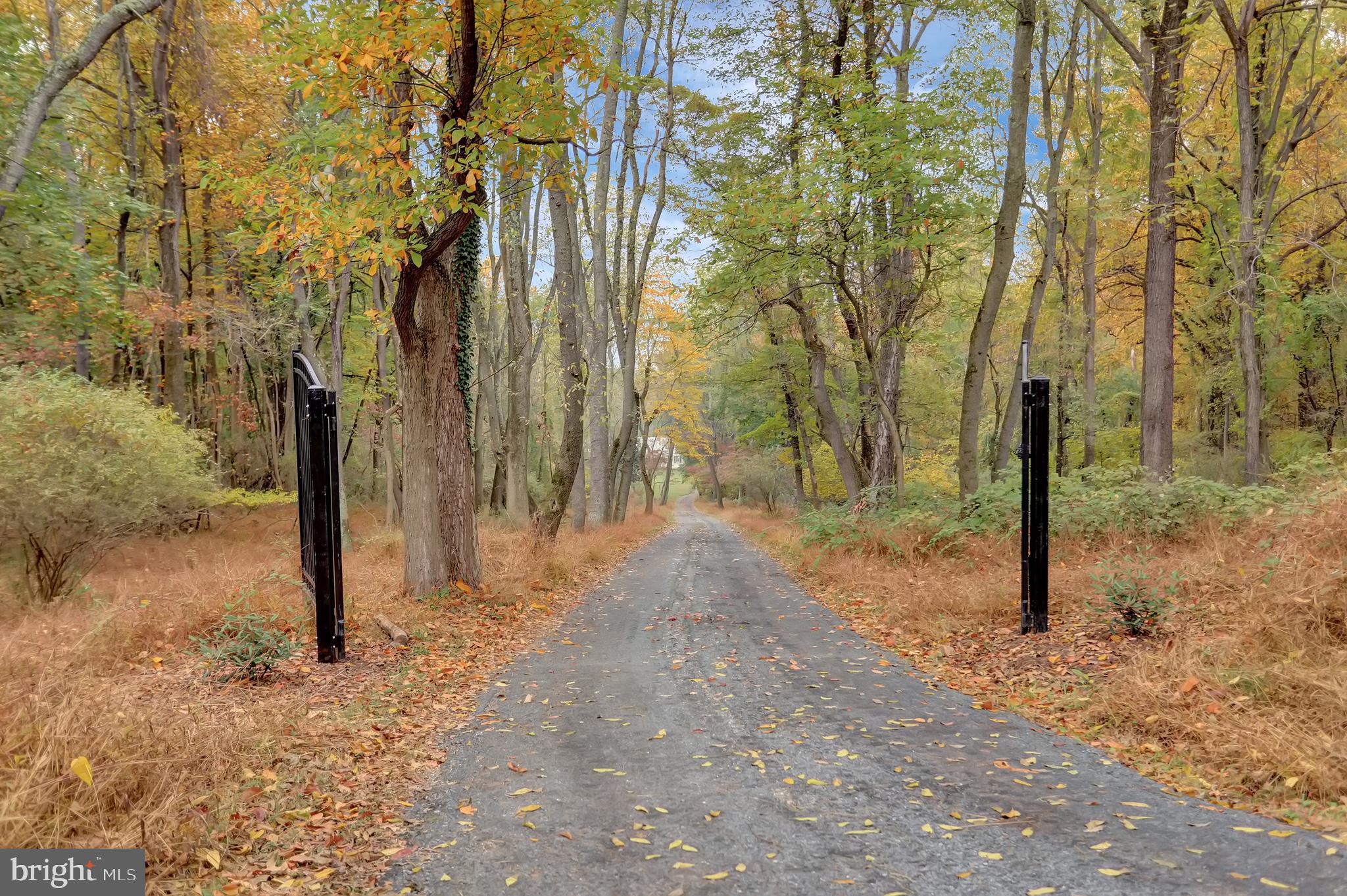 CAVES VALLEY - Residential