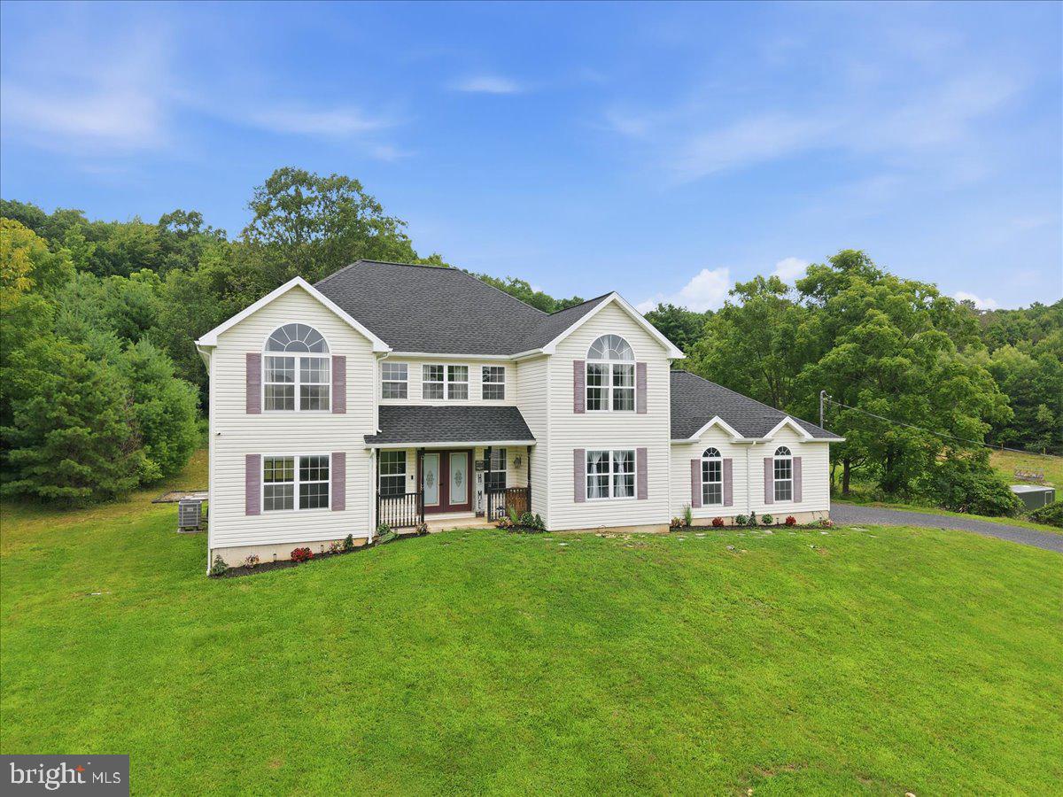 387 BLUE RIDGE ROAD