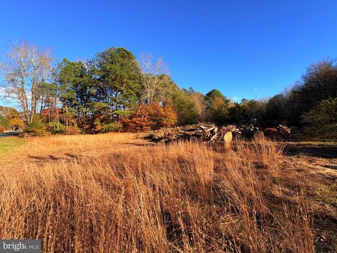 Vacant Land For Sale - 8385 Hurleys Neck Road<br/> MARDELA SPRINGS, MD 21837