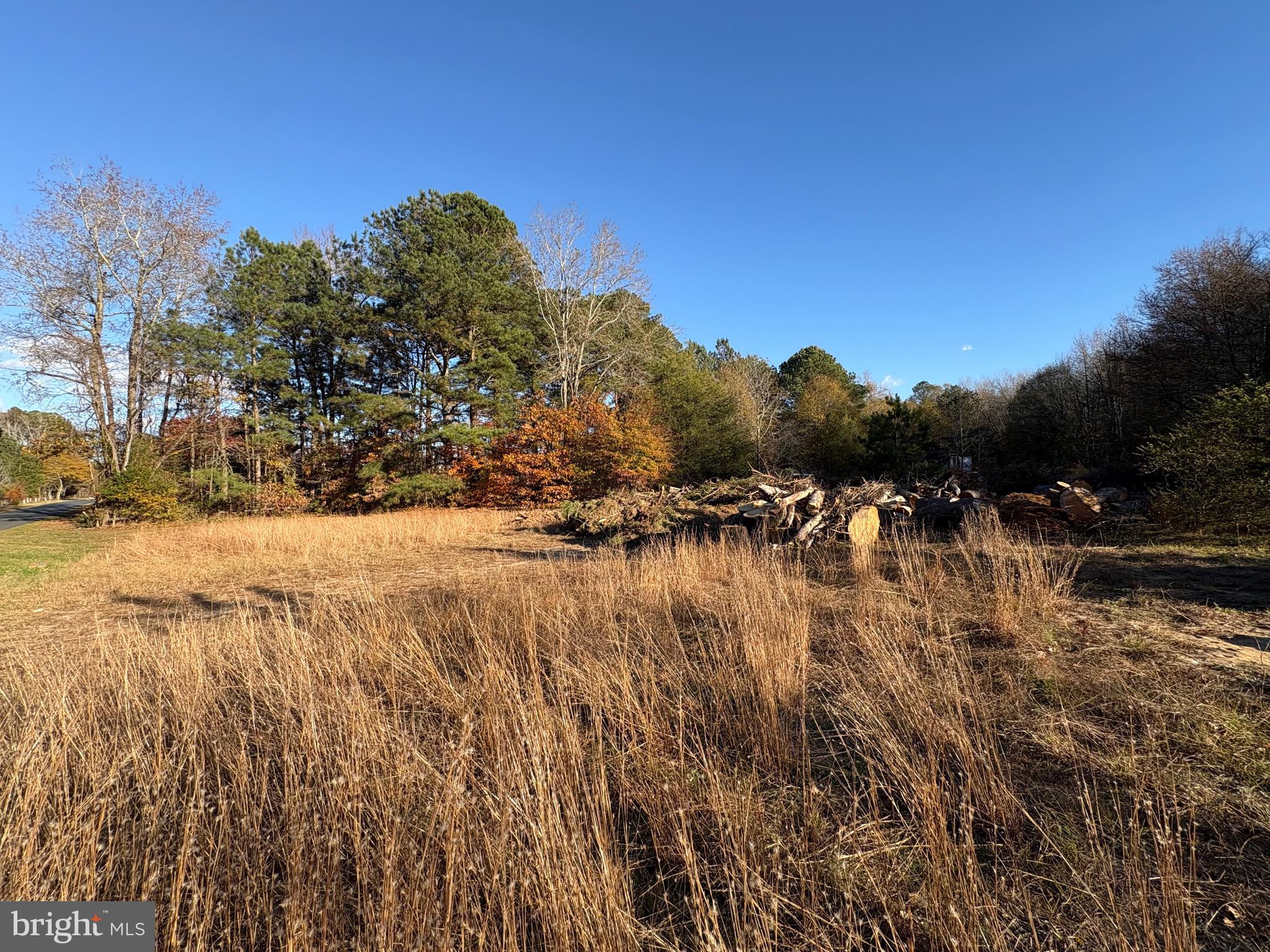 8385 HURLEYS NECK ROAD