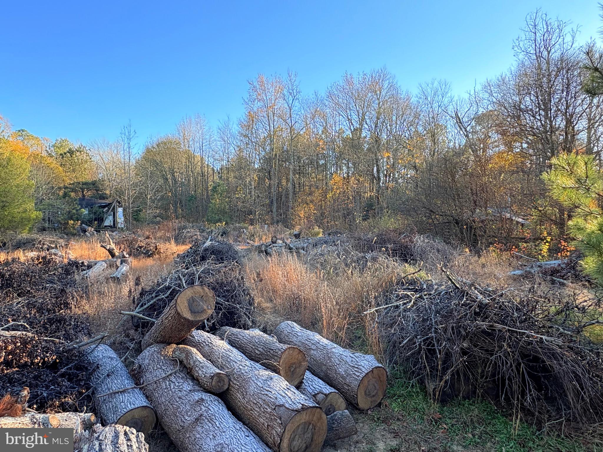 8385 HURLEYS NECK ROAD