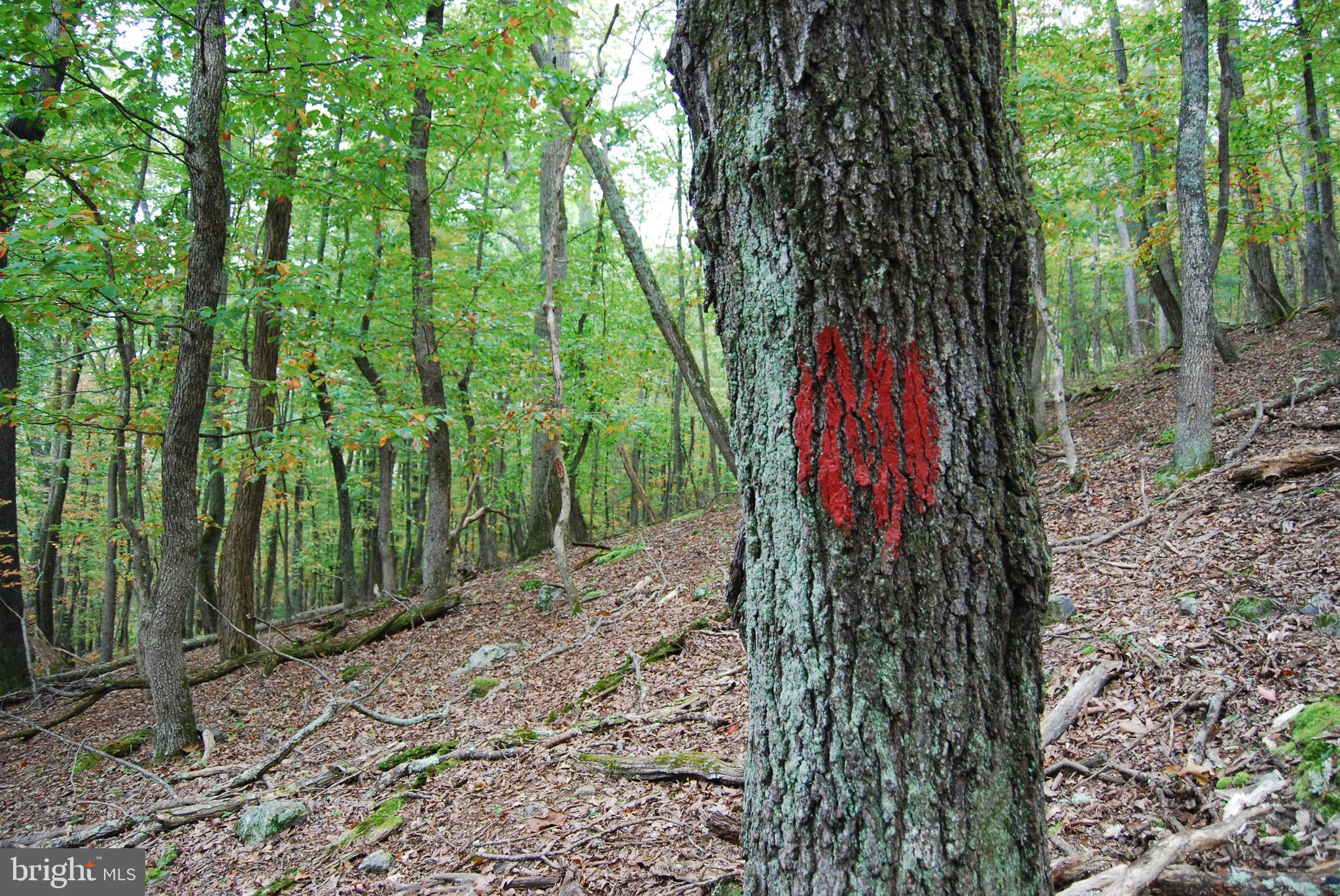 TROUT POND SUBDIVISION - Residential