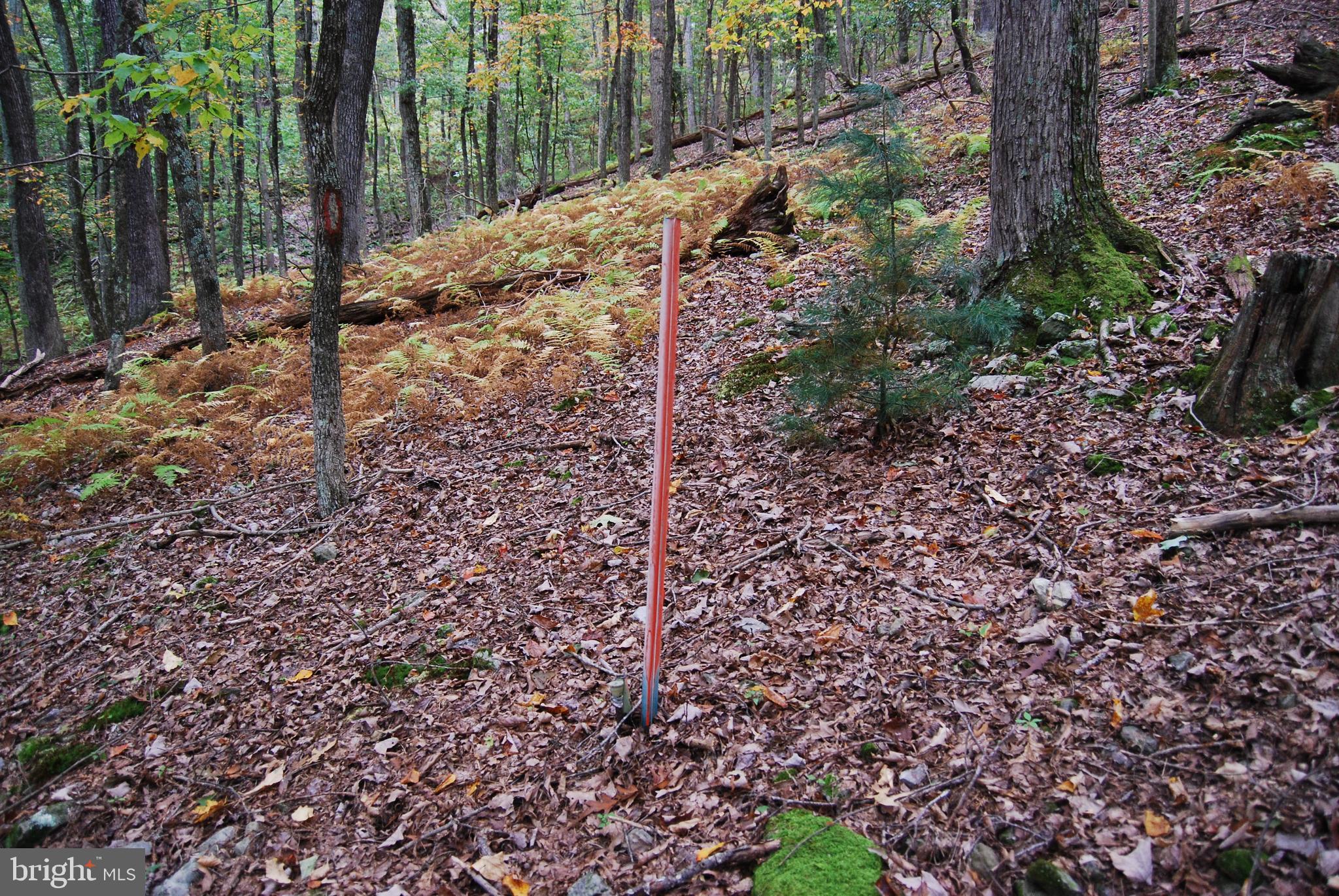 TROUT POND SUBDIVISION - Residential