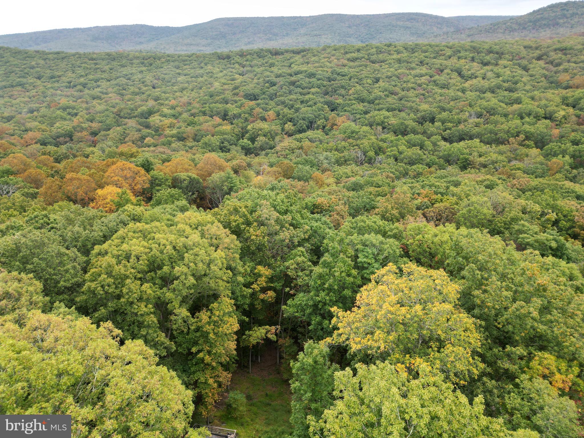 TROUT POND SUBDIVISION - Residential
