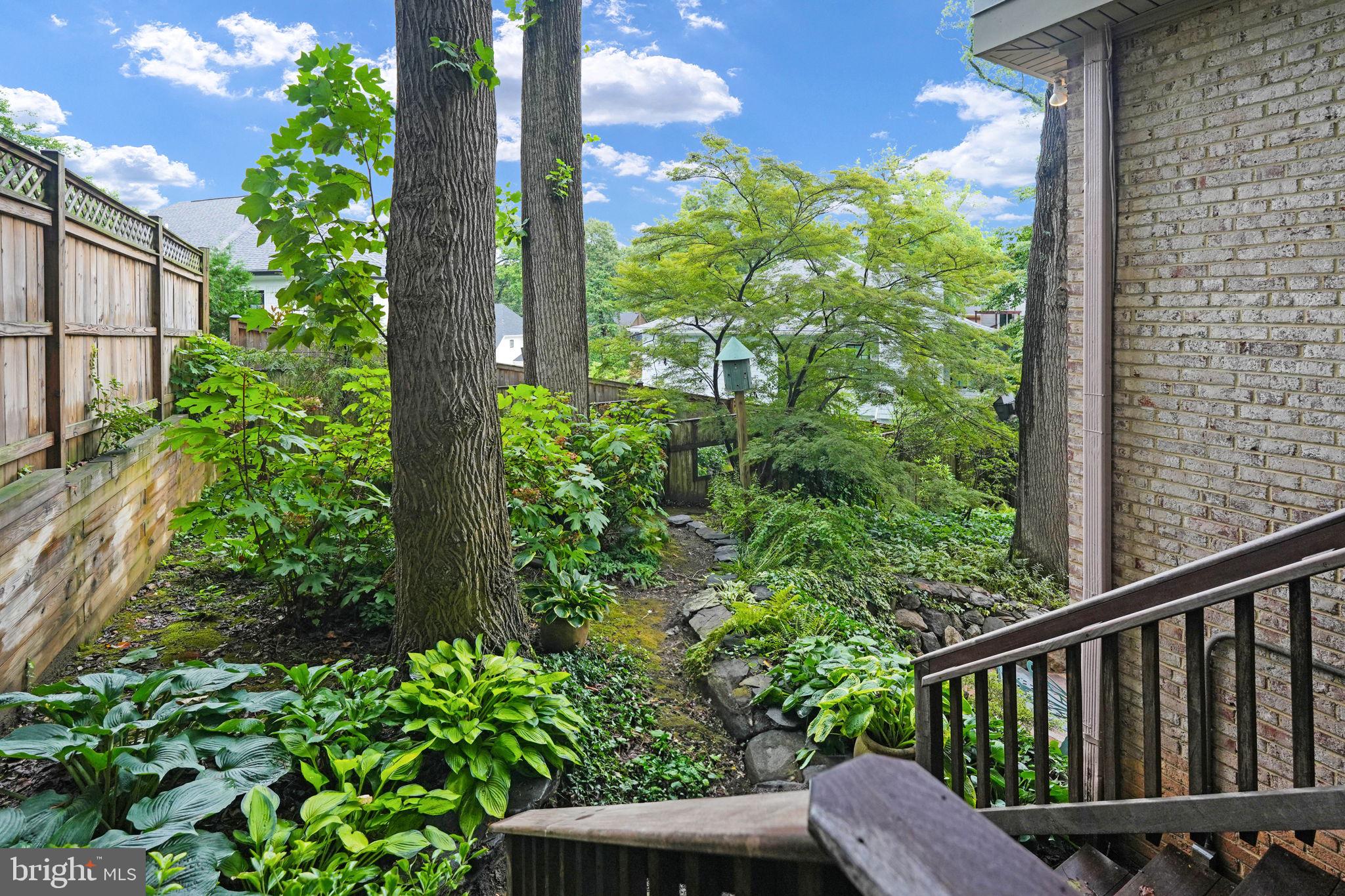 CHAIN BRIDGE FOREST - Residential