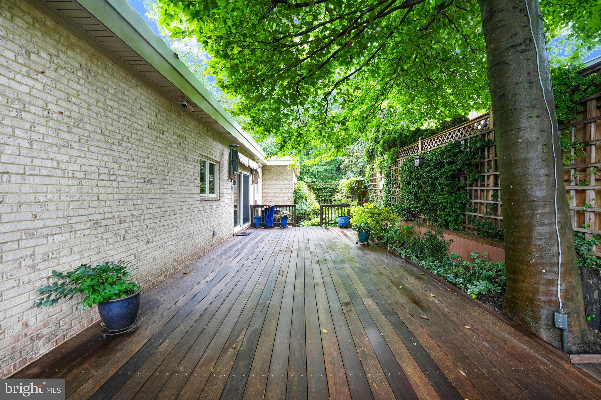 CHAIN BRIDGE FOREST - Residential