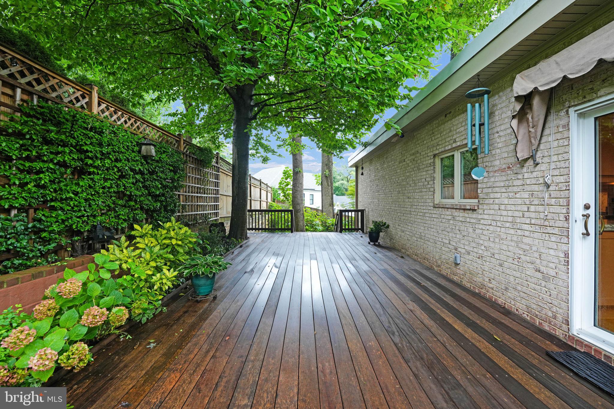 CHAIN BRIDGE FOREST - Residential